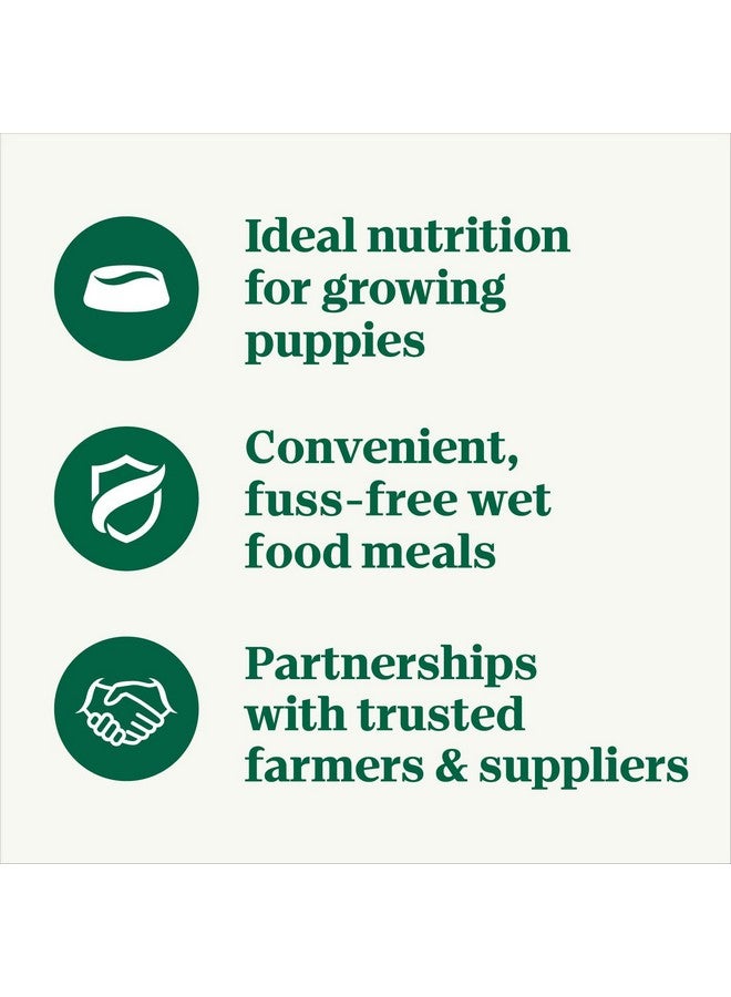 نوترو طعام كلاب مبلل طبيعي خالٍ من الحبوب للجراء، قطع في مرق، وصفة لحم البقر الطري والبازلاء والجزر، (24) صينية بحجم 3.5 أونصة - Image 5