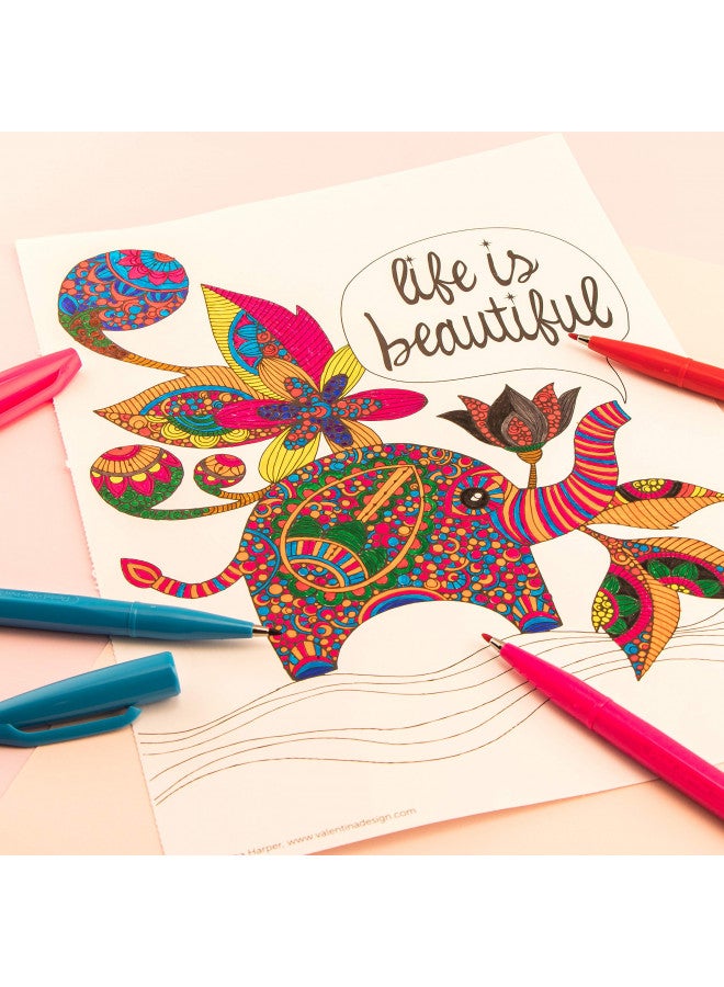 Pentel قلم بينتل ساين قلم ذو رأس ألياف، حبر برتقالي، علبة من 12 (S520-F) - Image 4