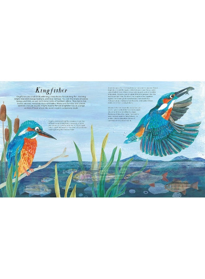 National Trust: Birds of a Feather: Press out and learn about 10 beautiful birds - Image 5