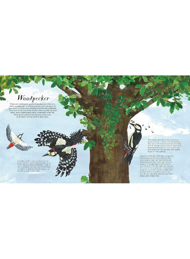 National Trust: Birds of a Feather: Press out and learn about 10 beautiful birds - Image 4