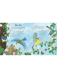 National Trust: Birds of a Feather: Press out and learn about 10 beautiful birds  - Image 4