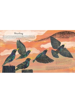 National Trust: Birds of a Feather: Press out and learn about 10 beautiful birds  - Image 2