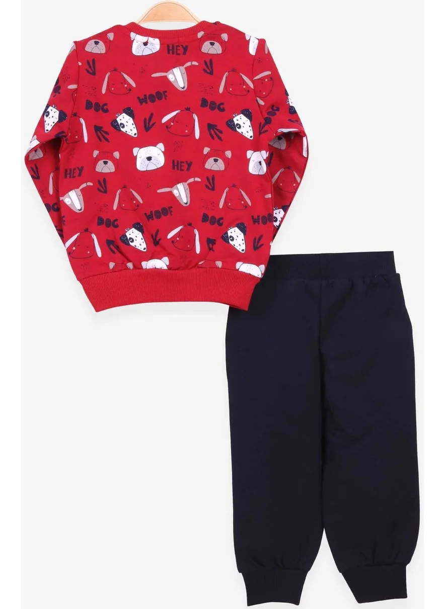 بريز Boys Tracksuits Print Patterned Claret Red (1-4 Ages)