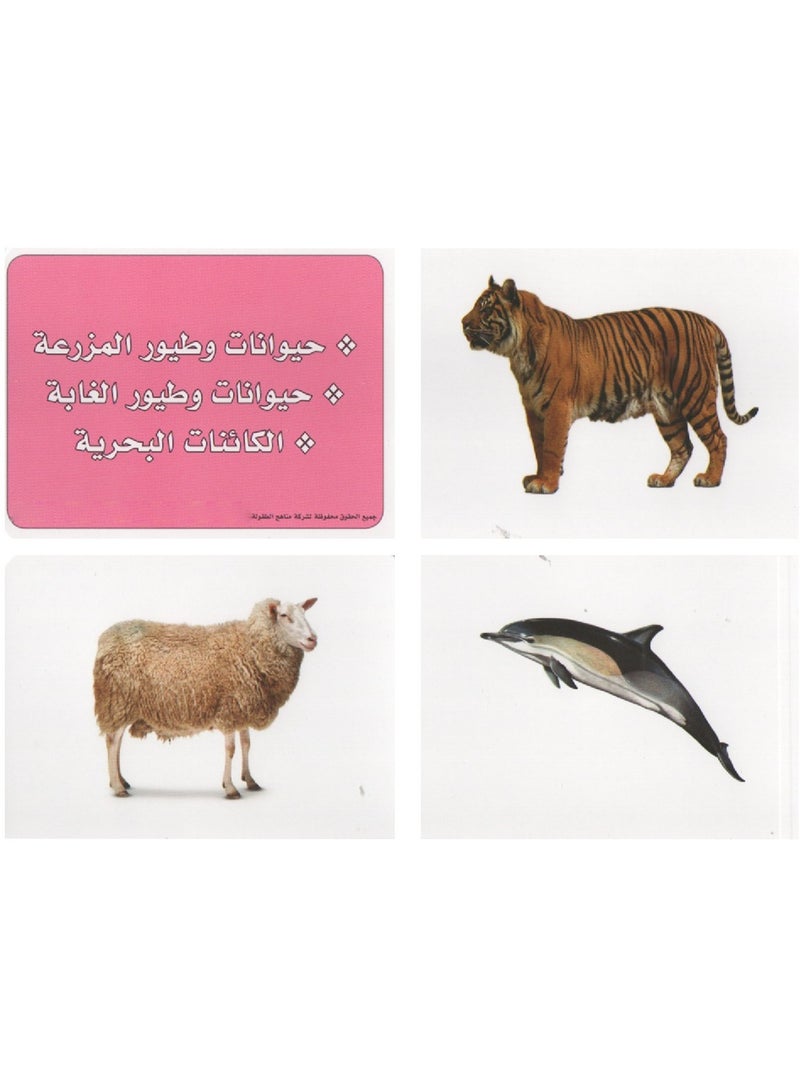 حيوانات وطيور المزرعة الغابة البحر - Image 3