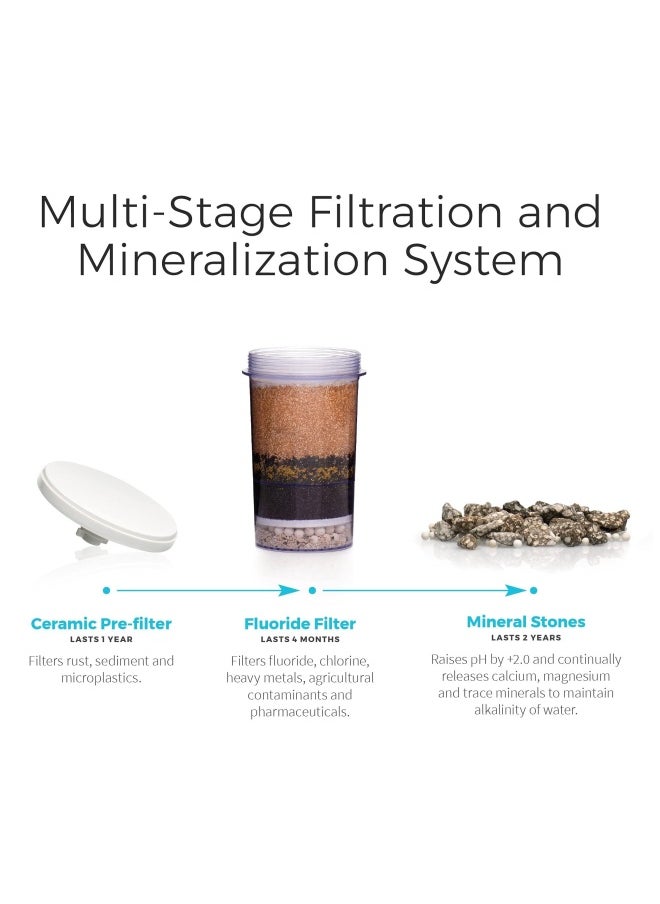 Santevia Gravity Water System Filter  at Home Water Filter That Makes Water Alkaline and Adds Minerals  Chlorine and Fluoride Filter Countertop Model