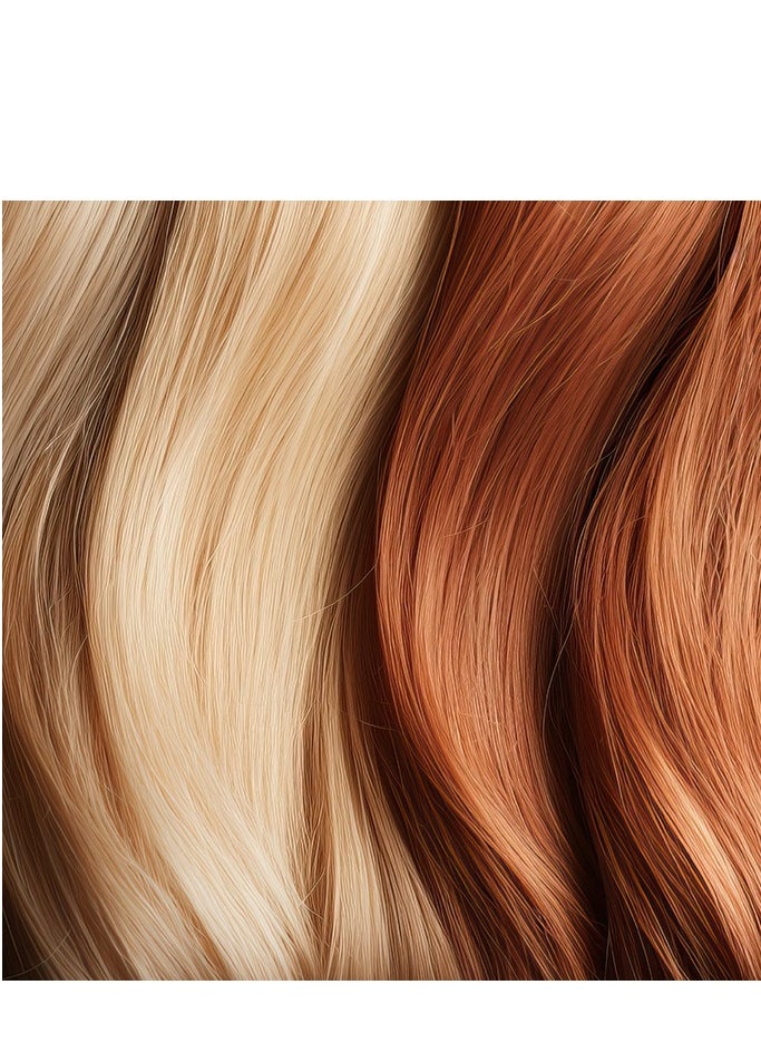 Numero Hair Professional - Brelil Numero Shampoo for Hair Color Protection with Pomegranate Extract 300 ml - Image 1