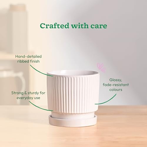 UGAOO Roma Ceramic Pot |Indoor Ceramic Planter for Home, Office, Garden, Balcony - White (5 Inch) - Image 5