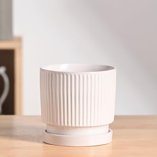 UGAOO Roma Ceramic Pot |Indoor Ceramic Planter for Home, Office, Garden, Balcony - White (5 Inch) - Image 1