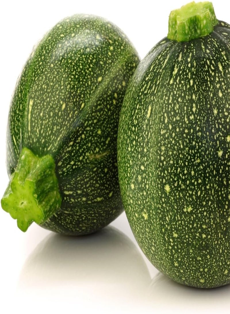 GGOOT Courgette Tondo Chiaro Di Nizza - Cucurbita Pepo Vegetable Seeds, Also Known as Zucchini Home Garden Planting by Heavy Torch, 10 Seeds