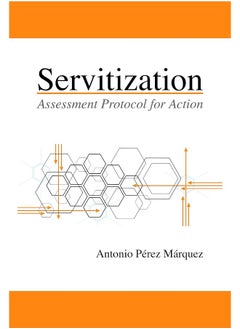 Servitization: Assessment Protocol for Action  - Image 2