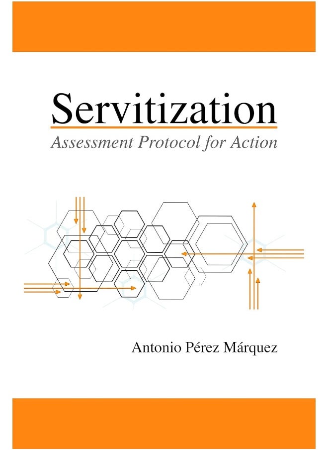 null - Servitization: Assessment Protocol for Action - Image 1