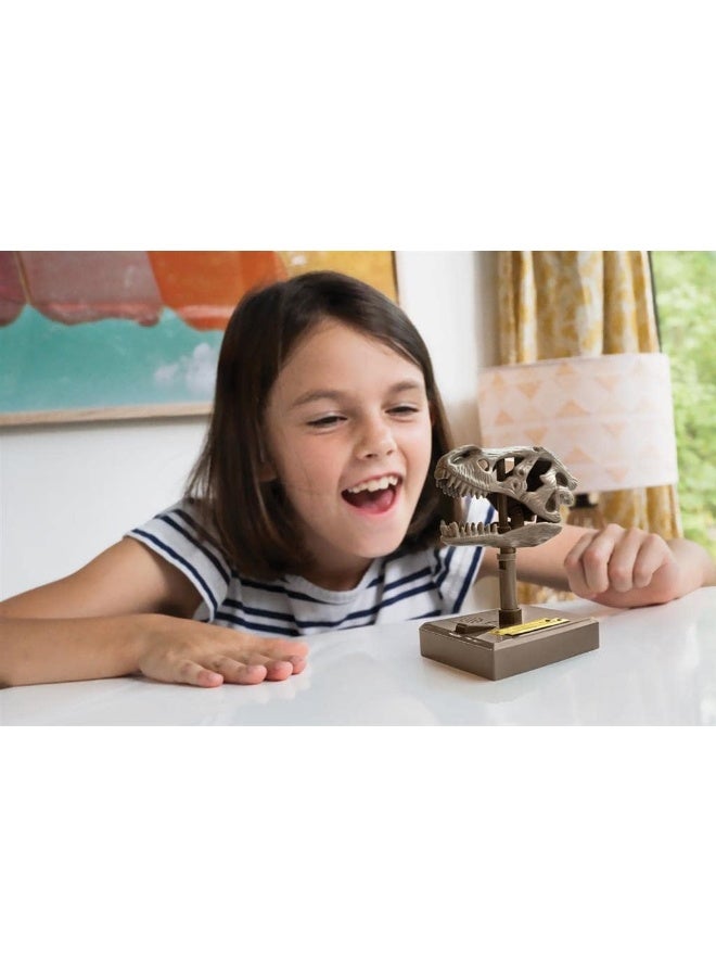 4M Kidzlabs Roaring T-Rex Skull – Interactive Dinosaur Fossil Science Kit with Sound Effects for Kids STEM Learning, Imaginative Play, and Paleontology Fun – Educational Gift Ages 5+ | 00-03399 - Image 3