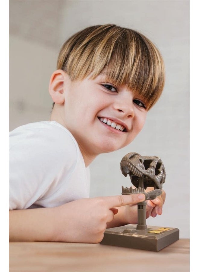 4M Kidzlabs Roaring T-Rex Skull – Interactive Dinosaur Fossil Science Kit with Sound Effects for Kids STEM Learning, Imaginative Play, and Paleontology Fun – Educational Gift Ages 5+ | 00-03399 - Image 4