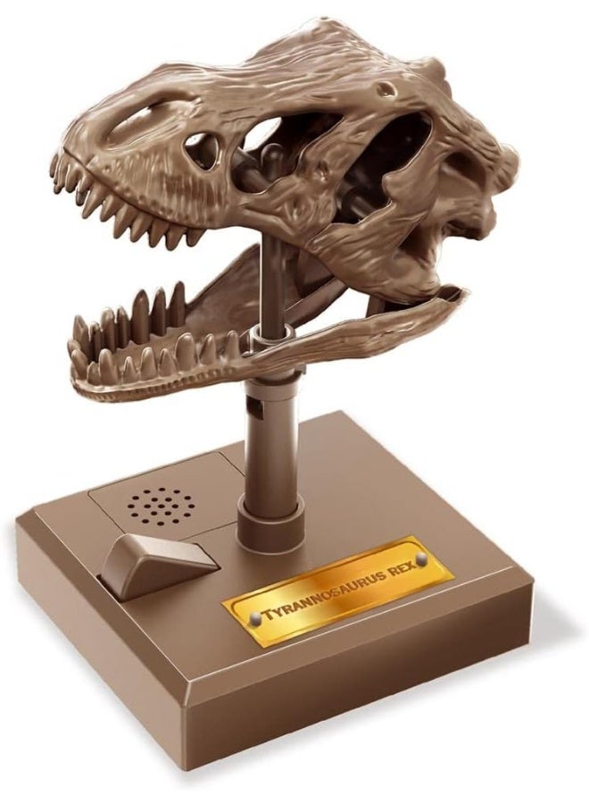 4M Kidzlabs Roaring T-Rex Skull – Interactive Dinosaur Fossil Science Kit with Sound Effects for Kids STEM Learning, Imaginative Play, and Paleontology Fun – Educational Gift Ages 5+ | 00-03399 - Image 2
