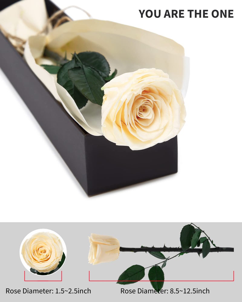 SofLiv Champagne Flowers for Delivery Prime, Preserved Champagne Roses Flower Gifts for Women, Real Roses Single Rose Gifts for Her, Mom Birthday Gifts from Daughter, Valentines Flowers - Image 2
