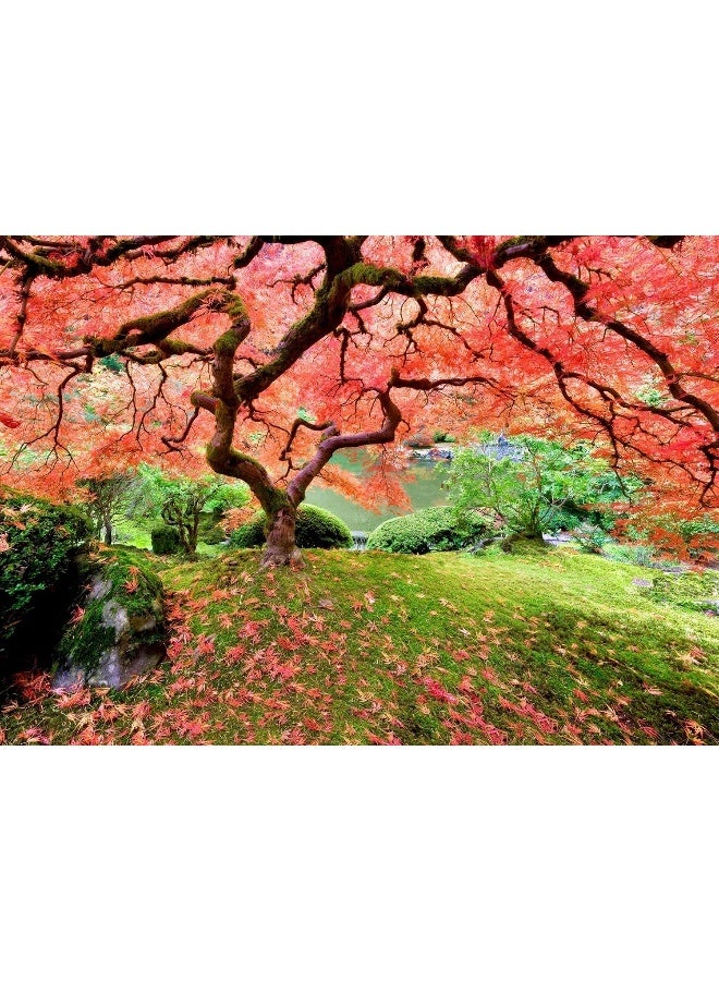 Peter Pauper Press Japanese Maple Tree Jigsaw Puzzle - Image 1
