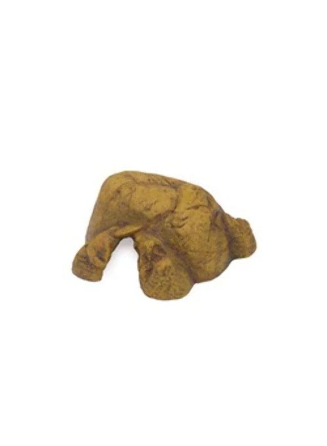 إكسو تيرا كهف الزواحف إكسو تيرا 0015561229319 1 - متوسط، متعدد الألوان - Image 1