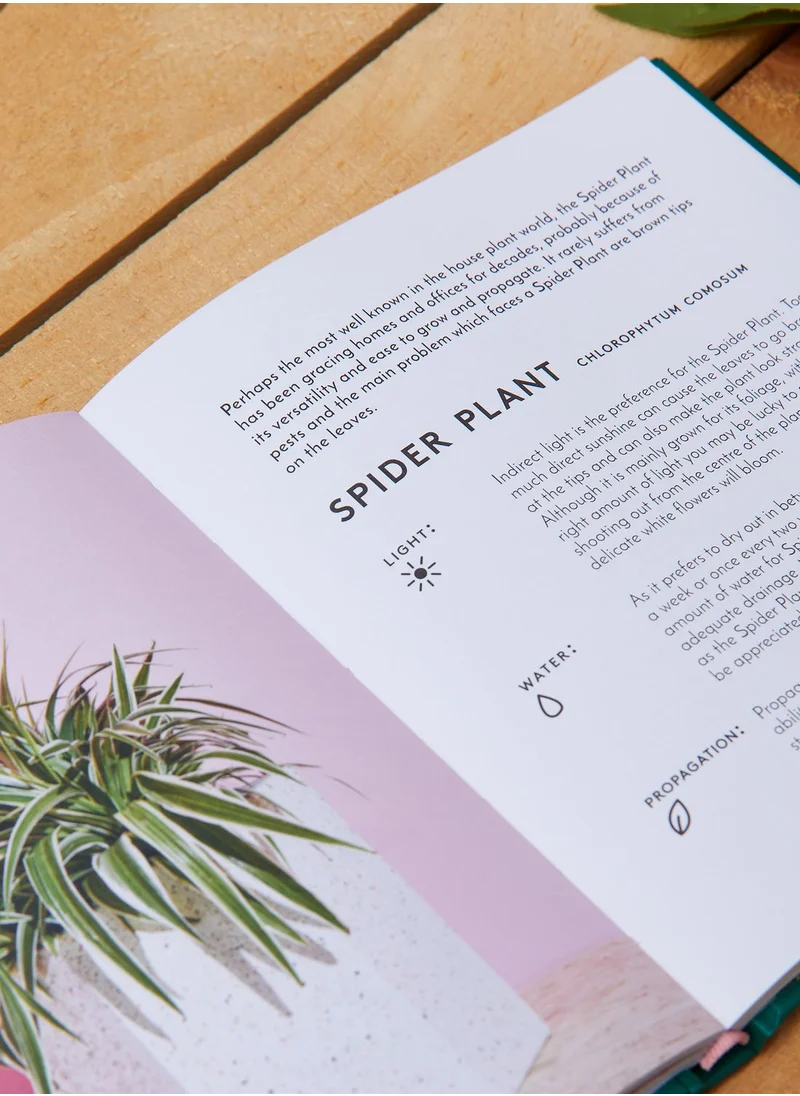All Sorted House Plants and Other Greenery Book