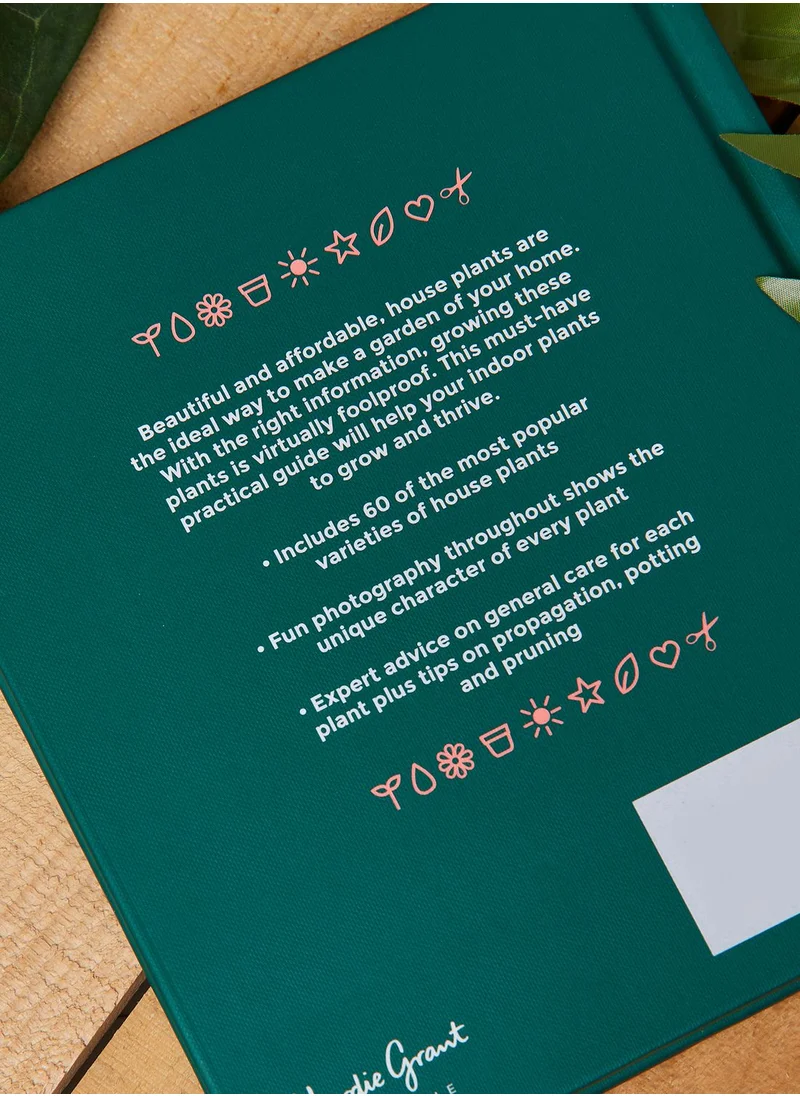 All Sorted House Plants and Other Greenery Book