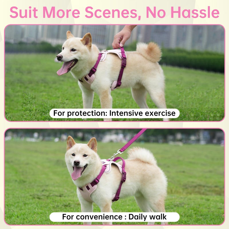 LULUPET 3 in 1 No Pull Dog Harness Leash and Collar Set, Soft Adjustable Dogs Vest Reflective and Comfortable Handle Pink Small - Image 5