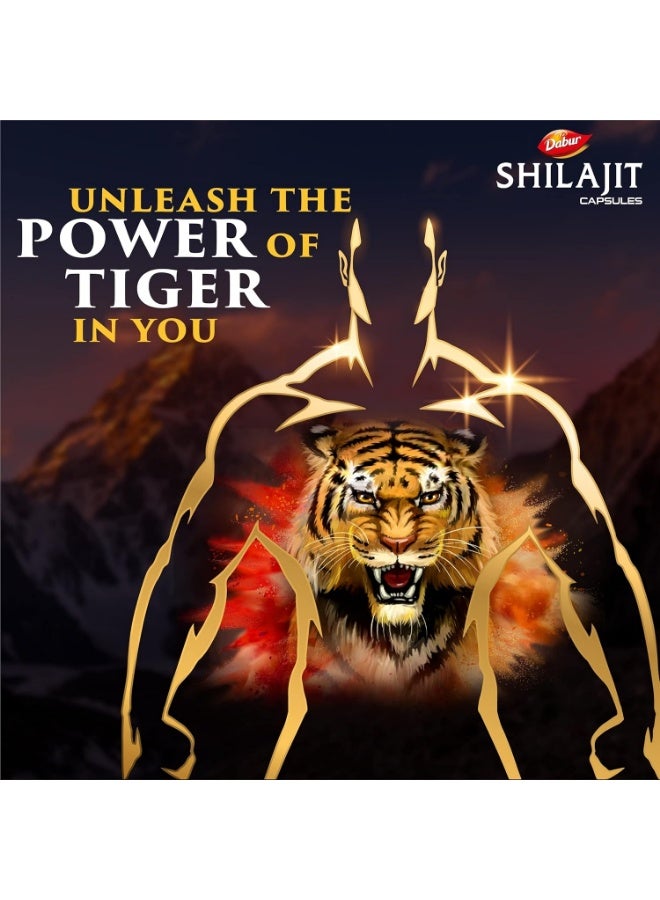 دابر شيلاجيت 30 كبسولة 30 كبسولة - Image 2