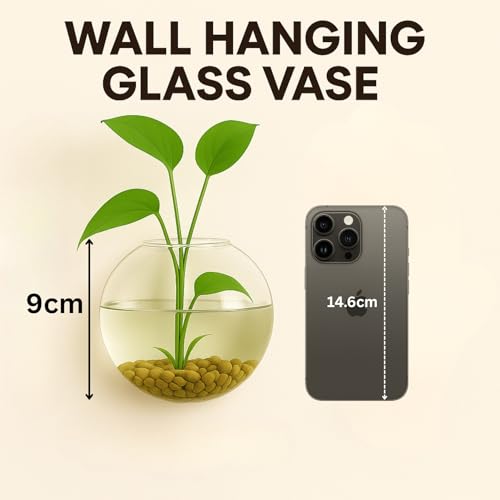 ecofynd Glass Vase for Flowers Plants, Modern Decorative Vase for Home Decor Center Table, Bedroom, Living Room, Office Decoration, Wedding or Gifts, Fish Tank (GVASE007) - Image 3