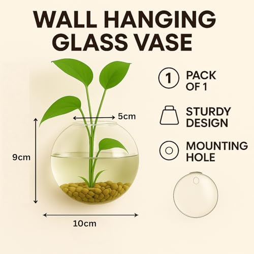 ecofynd Glass Vase for Flowers Plants, Modern Decorative Vase for Home Decor Center Table, Bedroom, Living Room, Office Decoration, Wedding or Gifts, Fish Tank (GVASE007) - Image 2
