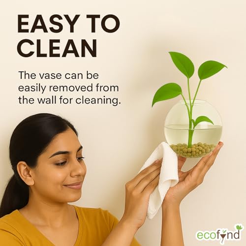 ecofynd Glass Vase for Flowers Plants, Modern Decorative Vase for Home Decor Center Table, Bedroom, Living Room, Office Decoration, Wedding or Gifts, Fish Tank (GVASE007) - Image 4