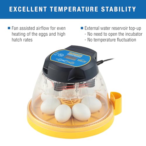 Brinsea Mini II Advance Egg Incubator with Automatic Egg Turning and Temperature Control for Hatching 7 Chicken, Duck, or Other Eggs, Ideal Incubator for Hobbyists, Teachers, and Learners - Image 4