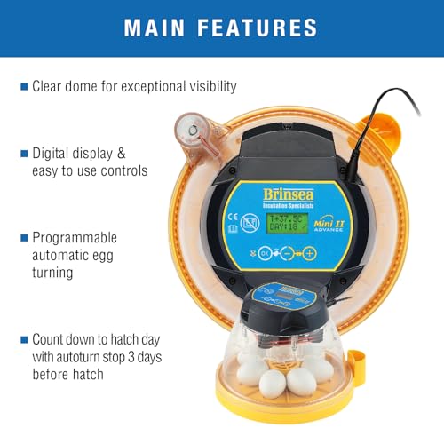 Brinsea Mini II Advance Egg Incubator with Automatic Egg Turning and Temperature Control for Hatching 7 Chicken, Duck, or Other Eggs, Ideal Incubator for Hobbyists, Teachers, and Learners - Image 2