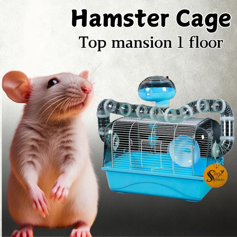 Sage Square قفص هامستر - موطن واسع وقوي للحيوانات الأليفة الصغيرة، مثالي للسفر، عجلة تمرين، سهل التنظيف، نظام قفل آمن، تهوية، ملحقات ممتعة، جربيل، فأر (النوع 5) - Image 2