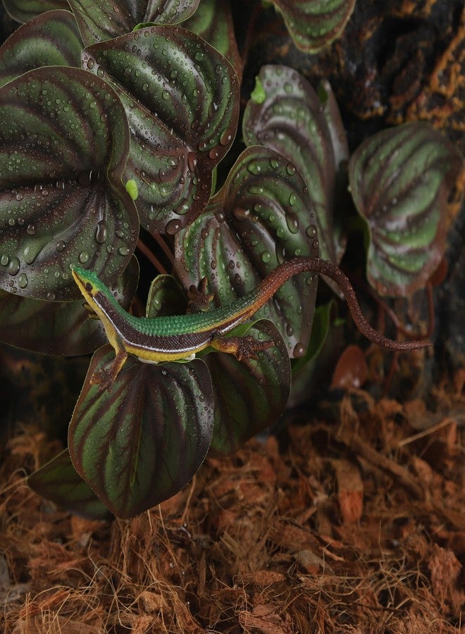 IBWell Fake Reptile Plants for Terrarium, Decor, Turtle Tank with Suction Cup - Image 5