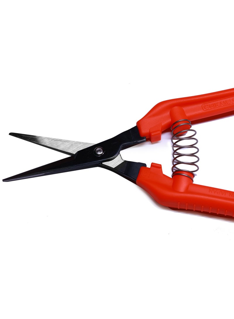 Chikamasa Professional Flowers & Vegetables Scissor/Shear TP-530 Made in Japan - Image 5