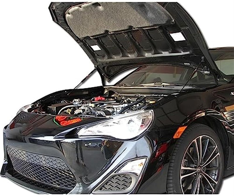 DEMULAX Purple Carbon Fiber Hood Lift Kit - Image 2