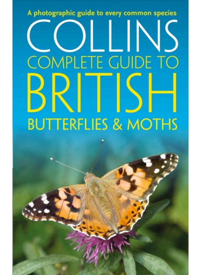 British Butterflies and Moths 
