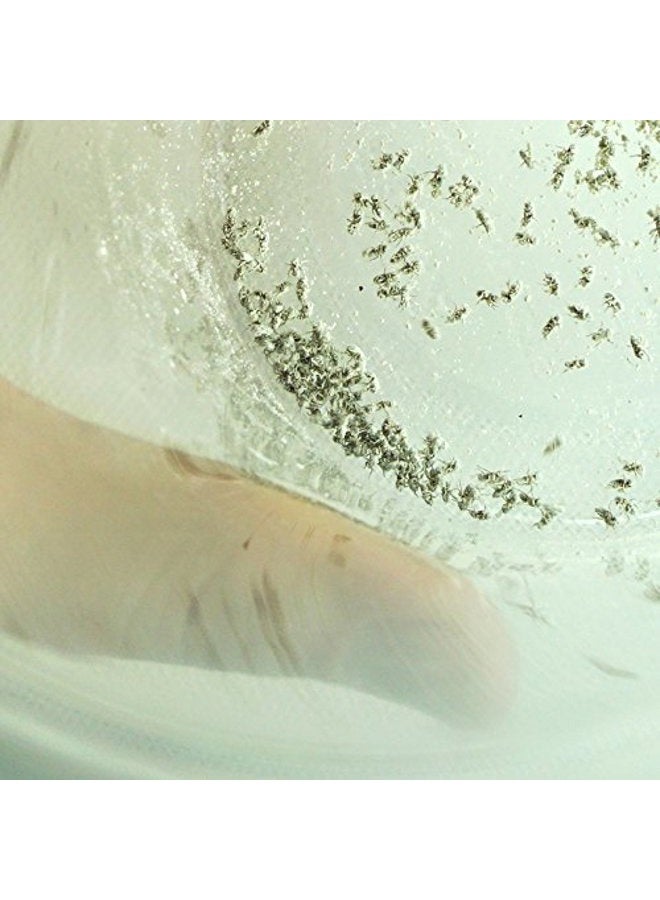 Rep-Cal SRP00200 مسحوق الكالسيوم الفائق النعومة الخالي من الفوسفور لمكملات الزواحف/البرمائيات مع فيتامين D3، 3.3 أونصة - Image 5