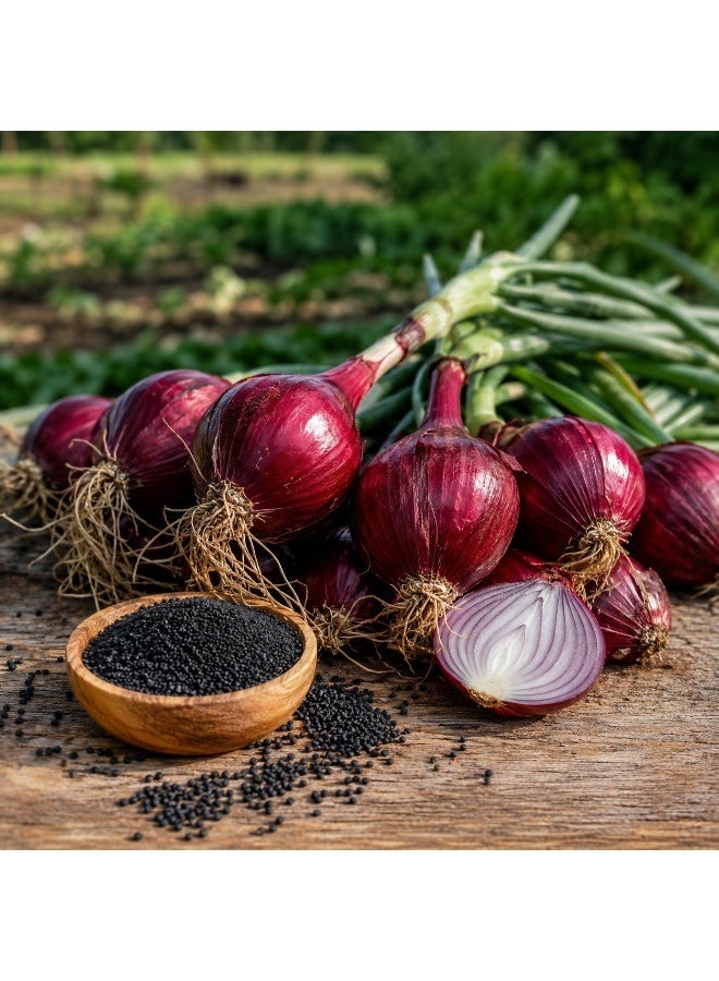 vsell24 Pack of 3-Non-GMO Onion Vegetable Seeds,for Home & Outdoor Gardening - Image 5