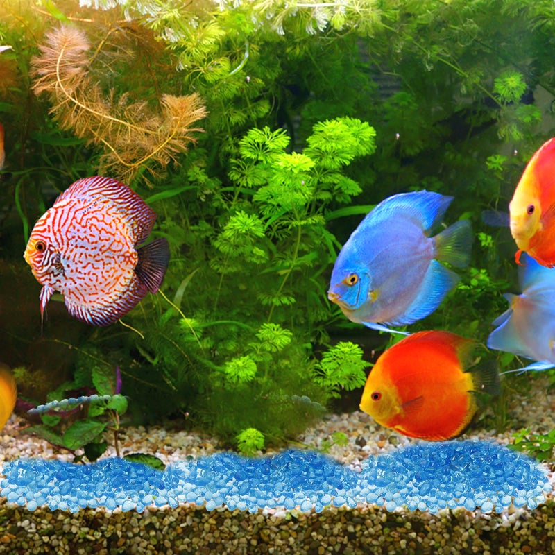 1 Pack Fish Bottom Stones Fish Glass Stones Fish - Image 5