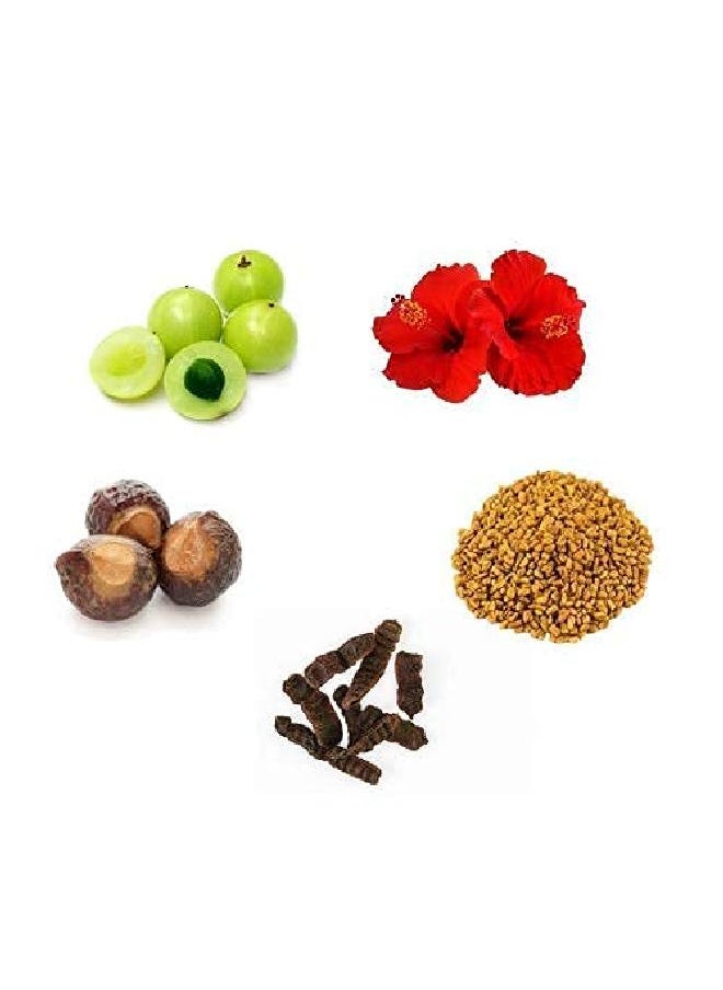 Havintha - شامبو أملا ريثا شيكاكاي ميثيدانا وبودرة الكركديه للشعر 227 جرام (عبوة من 3 قطع) - Image 1