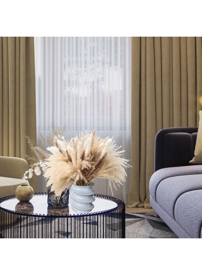 MirageBotanics Natural Dried Pampas Grass Bouquet 60Pcs: Brown Gray White Reed Pampas with Vase,Dry Plants Dry Flowers Arrangements Decorations for Home Room Office Party Decor - Image 3