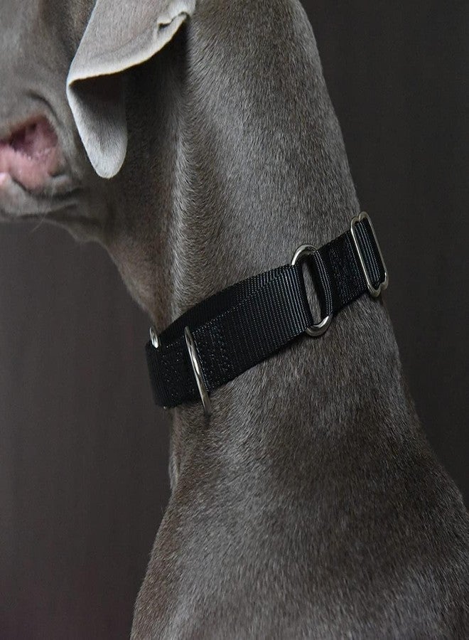 FOR YOUR PETS طوق مارتينجال للكلاب متوسطة الحجم من فور يور بيتس، مزود بإبزيم معدني متين، طوق نايلون قابل للتعديل يمنع الانزلاق، طوق للكلاب متوسطة الحجم (أسود)، 21 × 3 سم - Image 5
