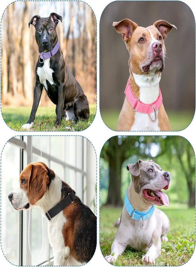 FOR YOUR PETS طوق مارتينجال للكلاب متوسطة الحجم من فور يور بيتس، مزود بإبزيم معدني متين، طوق نايلون قابل للتعديل يمنع الانزلاق، طوق للكلاب متوسطة الحجم (أسود)، 21 × 3 سم - Image 4