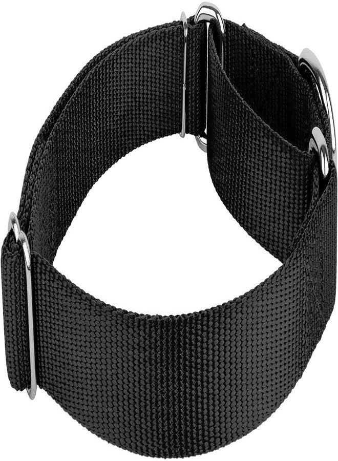 FOR YOUR PETS طوق مارتينجال للكلاب متوسطة الحجم من فور يور بيتس، مزود بإبزيم معدني متين، طوق نايلون قابل للتعديل يمنع الانزلاق، طوق للكلاب متوسطة الحجم (أسود)، 21 × 3 سم - Image 3