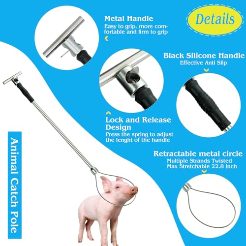 MUDUOBAN Heavy Duty Dog Catcher Pole 25Inch Stainless Steel Animal Control Catch Pole Extendable Noose Wildlife Holding Tool for Small/Medium Dogs, Feral Cats, Raccoons, Hogs, Pig, Foxes & Coyotes - Image 4