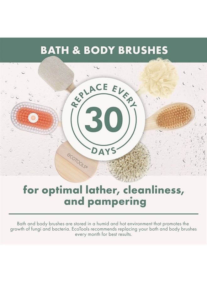 Ecotools Foot Brush & Pumice, Cleansing & Exfoliating Foot Scrubber, Cruelty-Free & Dense Bristles for Deep Exfoliation, Removes Dead Skin Cells, for Dry Feet, Vegan & Cruelty-Free, 4 Count - Image 2