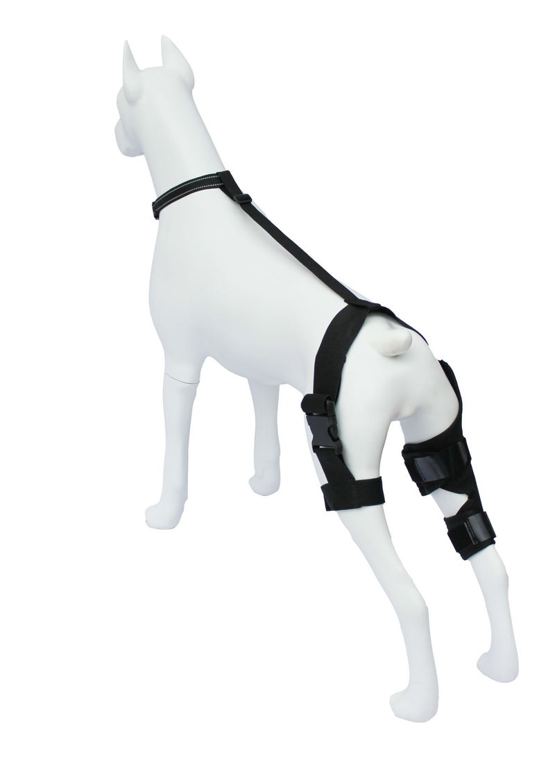 Pet Protector Dog Hind Leg Knee Assist with Dog Leg Protector Dog Knee Rehabilitation with Leg Joint Protector - Image 2