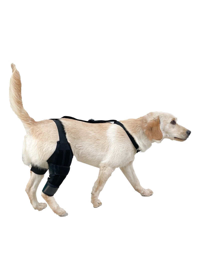 Pet Protector Dog Hind Leg Knee Assist with Dog Leg Protector Dog Knee Rehabilitation with Leg Joint Protector - Image 3