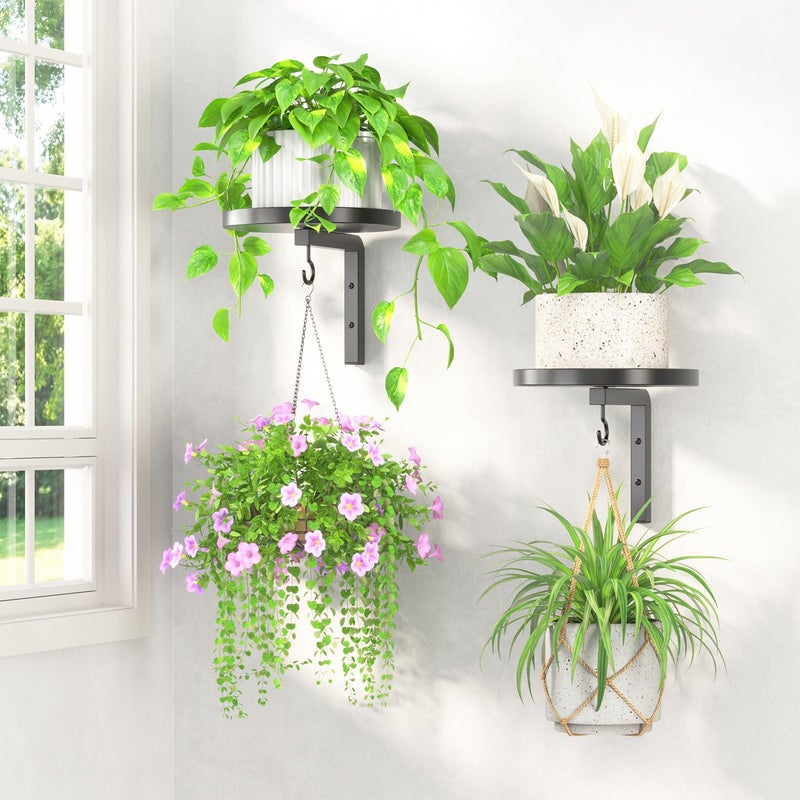 LASZOLA Plant Hangers Shelves Wall Mounted Indoor, Metal Window Plant Holders, 2Pcs Modern Floating Flower Display Stand with 2 Hooks for Outdoor Kitchen Bathroom Decor, Black - Image 1