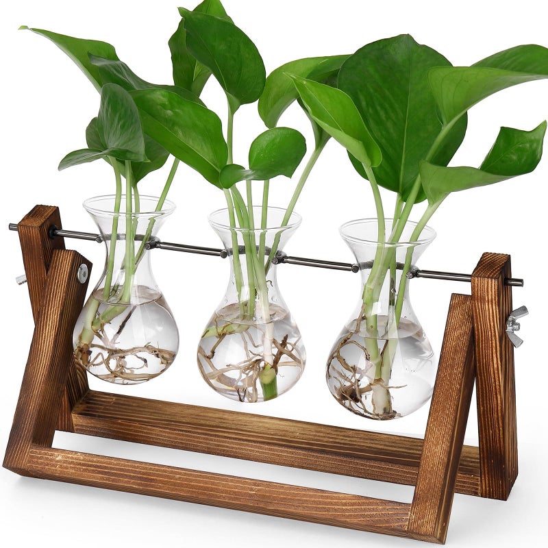 YIBOT Propagation Stations,Plant Terrarium with Retro Wooden Stand, Unique Gardening Birthday Gifts for Women Plant Lovers, Hydroponics Plants Home Office Garden Decor - 3 Bulb Glass Vases - Image 1