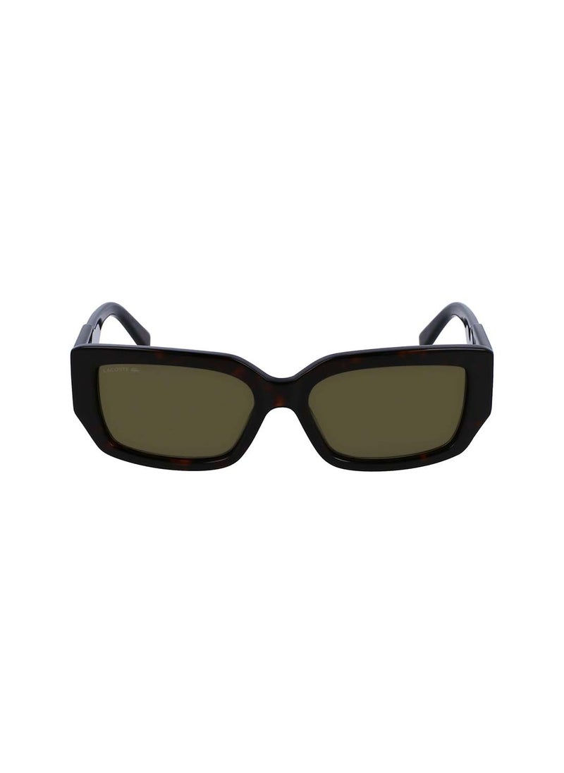 LACOSTE نظارة شمسية نسائية L6021S-214-5516 هافانا  - Image 1